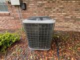 1903 Cypress Ave - Photo 47