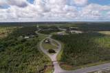105 Torrey Pine Trl - Photo 5