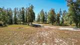 10864 Frink Baptist Church Rd - Photo 8