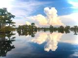 TBD E River Rd - Photo 4