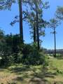 519 Shelly's Loop Rd - Photo 10