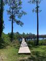 519 Shelly's Loop Rd - Photo 13