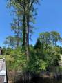 519 Shelly's Loop Rd - Photo 26