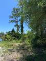 519 Shelly's Loop Rd - Photo 5