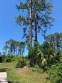 519 Shelly's Loop Rd - Photo 8