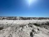 1201 Hwy 98 - Photo 11
