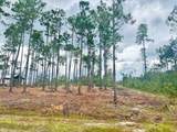 Lot 16 Live Oak Dr - Photo 7