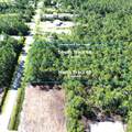 Lot 56S Peachtree Rd - Photo 11