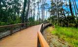 Parcel B Cape San Blas Rd - Photo 13
