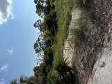Lot 24 Gulf Hibiscus Dr - Photo 30