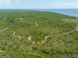 47 Piney Point Ln - Photo 6