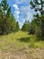 TBD Borders Rd - Photo 11