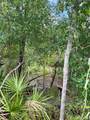 TBD Borders Rd - Photo 12