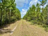 TBD Borders Rd - Photo 3