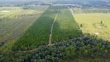 TBD Borders Rd - Photo 7