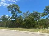397 Royal Tern Way - Photo 3