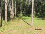2967 Hwy 98 E - Photo 41