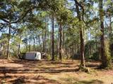 2447 Hwy 98 W - Photo 9