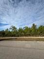 341 Gladiola Way - Photo 7