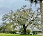 1011 Palm Blvd - Photo 38