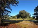 273 Royal Tern Way - Photo 2