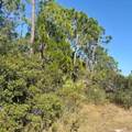 1735 Kingfisher Rd - Photo 4