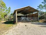 1764 Carrabelle Beach Dr - Photo 33