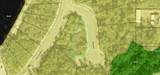 158 Singleleaf Rd - Photo 6