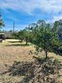 1651 Linden Rd - Photo 57