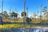 Parcel B Cape San Blas Rd - Photo 16