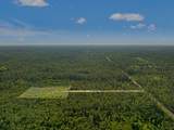 10320 Cowels Rd - Photo 6