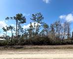 Lot 42 Buddy Floore Rd - Photo 2