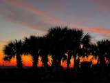 3606 Highway 98 - Photo 37