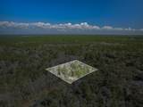 0 Sopchoppy Hwy - Photo 11