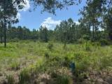 37 & 38 Shallow Reed Dr - Photo 4