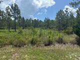 37 & 38 Shallow Reed Dr - Photo 5