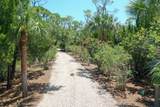 2123 Blue Heron Trl - Photo 58