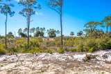 350 Sea Grove Way - Photo 69