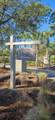 Lot 55 Cord Grass Way - Photo 1