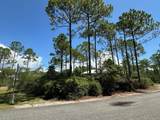 147 Lightning Bug Ln - Photo 4