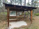 Lot 11 Buckhorn Creek Rd - Photo 12