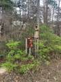 Lot 11 Buckhorn Creek Rd - Photo 14