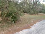 Lot 11 Buckhorn Creek Rd - Photo 3
