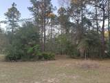 Lot 11 Buckhorn Creek Rd - Photo 5