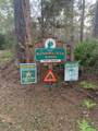 Lot 11 Buckhorn Creek Rd - Photo 8
