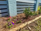 304 Hwy 98 - Photo 26