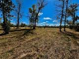 703 W River Rd - Photo 3