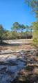 2003 Lighthouse Rd - Photo 2