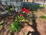 1003 Woodward Ave - Photo 18