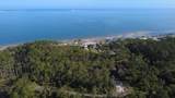 147 Bay Magnolia Ln - Photo 4